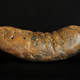 Image for article titled Five Bizarre Fossil Discoveries That Got Scientists Excited